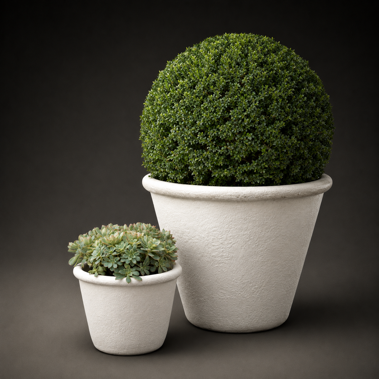 INNER GARDENS COLLECTION — Store 2 — INNER GARDENS